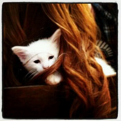 Profile Picture of Marilyn (@MarilynThorne) on Twitter