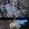 Profile Picture of 🦋𝓙𝓸𝓭𝓲𝓛𝓮𝓮🦋 (@@xx.augustbaby.xx) on Tiktok