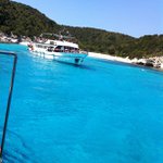 Profile Picture of David Tinkham (@bolueani) on Instagram