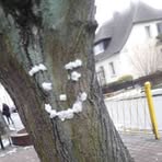 Profile Picture of Michał Pakulski (@Michał-Pakulski) on Facebook