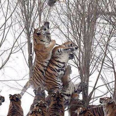 Profile Picture of Mohamad Khattab (@muhkh984) on Twitter