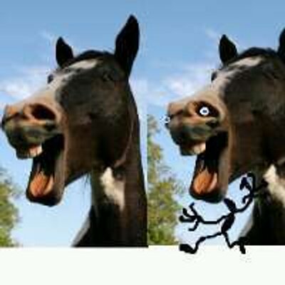 Profile Picture of Caleb Mears (@cmears_tweet) on Twitter