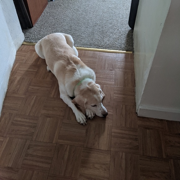 Profile Picture of Patricia Mcwilliams (@bestsister1218) on Poshmark