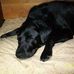Profile Picture of Toby Hoodes (@toby.hoodes) on Facebook