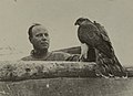 Profile Picture of August Dehnelon Wikipedia