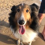 Profile Picture of Ben Tillisch (@benjamin.tillisch) on Instagram