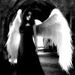 Profile Picture of Mónica Lampert (@monicalampert465) on Pinterest