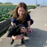 Profile Picture of Janice Hsu (@janice_pluto) on Instagram