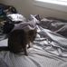 Profile Picture of Ralph Jeffries (@ralph.jeffries.18) on Facebook