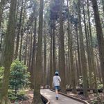 Profile Picture of 일상다반사 은지양 (@chiz_kim) on Instagram