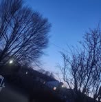 Profile Picture of Danielle Brady (@Danielle-Brady) on Facebook