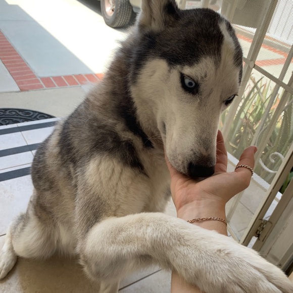 Profile Picture of Nana Muradian (@nana_muradian) on Poshmark