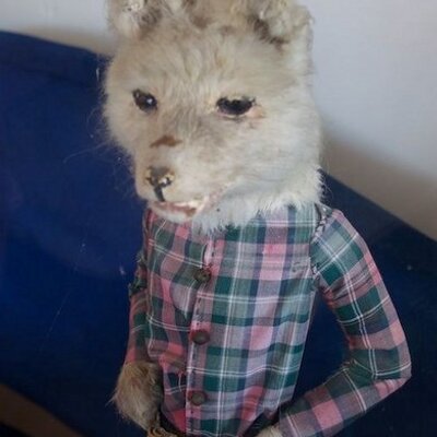 Profile Picture of Dan Addison (@danaddathome) on Twitter