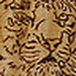 Profile Picture of Jjv2/2009 (@jjv2/2009) on Flickr