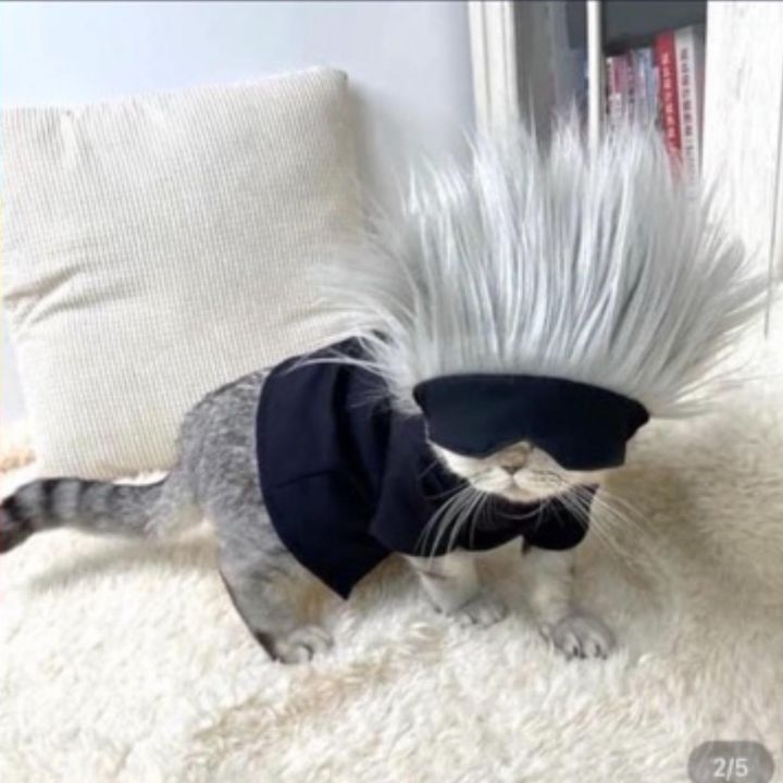 Profile Picture of Dylan Mueller (@@dylanmueller_) on Tiktok