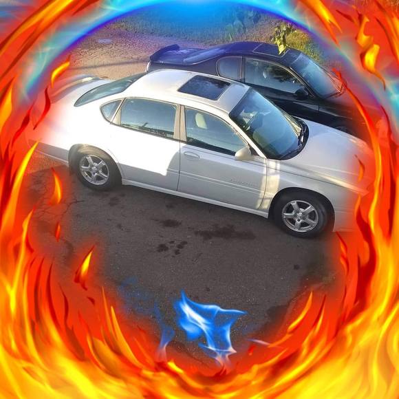 Profile Picture of Monica Chiasson (@monicachiasson) on Poshmark