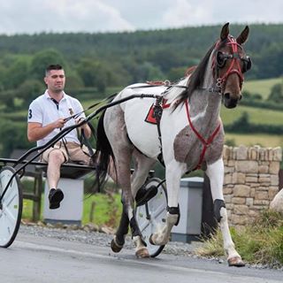 Profile Picture of Joseph Renaghan (@Joeeboyy) on Facebook