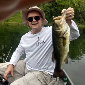 Profile Picture of STUART CARPENTER (@StuartCarpenter) on Twitter