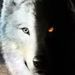Profile Picture of Nathan Cristea (@nathancristea) on Pinterest