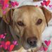 Profile Picture of Janet Judge (@janet.judge.1) on Facebook