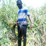 Profile Picture of Michael Yao Zigah (@michaelyaozigah) on Instagram