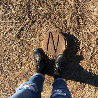 Profile Picture of Natalie Bennett (@NatalieBennet20) on Twitter