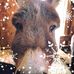 Profile Picture of Annette Thompson Geers (@annette.thompsongeers) on Facebook