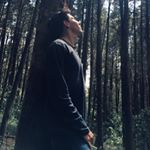 Profile Picture of Lorenzo Acuña Arce (@lorenflaco) on Instagram