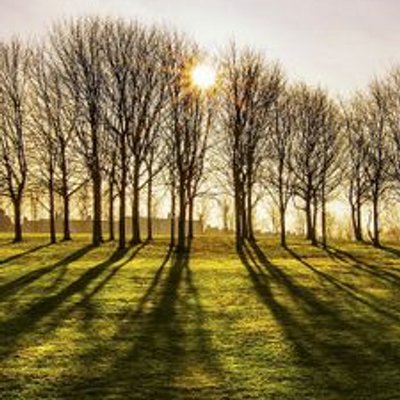 June Deng - Twitter Profile Picture of June Deng (@waittowait) on Twitter