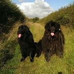 Profile Picture of Paul Filler (@fillerpaul) on Instagram