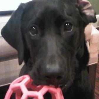 Profile Picture of Mark Littlejohn (@litma57) on Twitter