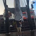 Profile Picture of Raymond (@rbutcher85) on Instagram