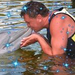 Profile Picture of Brian Mulgrew (@briantr.mulgrew) on Instagram