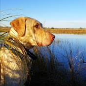 Profile Picture of Cheng Xiong (@sho20) on Youtube