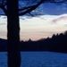 Profile Picture of Vicki Brownell (@brownell0007) on Pinterest
