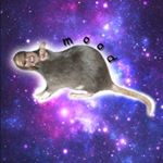 Profile Picture of Main: @abby.rader_ (@abbyratr) on Instagram