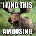 Profile Picture of Duncan Forbes (@funcan_dorbes) on Instagram