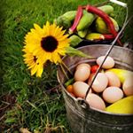 Profile Picture of Foster/Gravatt/Edwards (@sunandspade) on Instagram