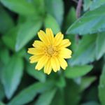 Profile Picture of Sriram Sankaran (@sriram_photography_) on Instagram