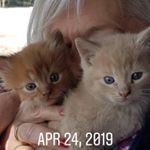 Profile Picture of Lorine Houde (@lorinehoude) on Instagram