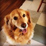 Profile Picture of Colin Long (@cnlong02) on Instagram