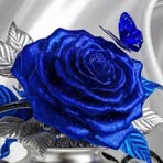 Profile Picture of Myrna Marrero (@myrna.marrero.395) on Facebook