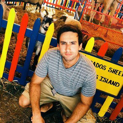 Profile Picture of My Info (@david_scherzer) on Twitter