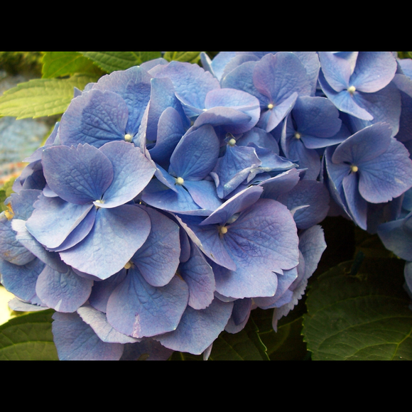 Ronnie Morehead - Poshmark Profile Picture of Ronnie Morehead (@ronnielou) on Poshmark