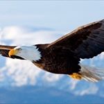 Profile Picture of Angel Leon (@angel.leon.902604) on Instagram
