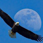 Profile Picture of Paul K. Chafetz (@paulkchafetz) on Instagram