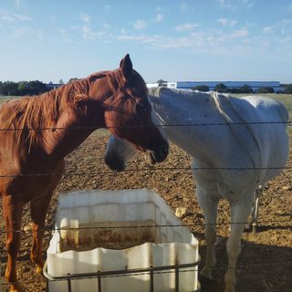 Profile Picture of Ryan Arko (@arkoisagoodboy) on Instagram