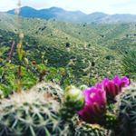 Profile Picture of Jacquelyn Barrowdale (@jjarnett_) on Instagram