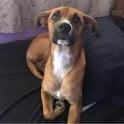 Profile Picture of Jimmy Arthur Polo Atac (@jimmyarthurpoloatac8894) on Youtube