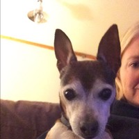 Profile Picture of Julianna Smoot (@julianna-smoot-1) on Quora